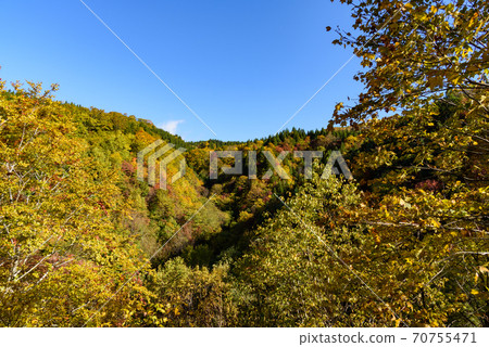秋葉登山 秋葉登山 70755471