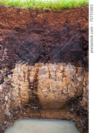 Soil profile of a Histosol in northwestern Germany near lake Duemmer 70755863