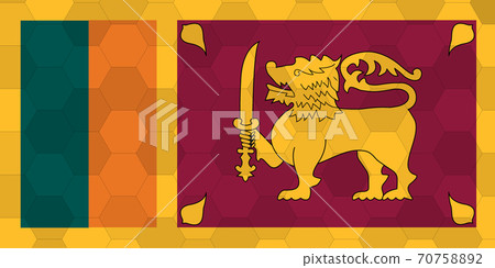 Real size Sri Lanka flag illustration. Futuristic Sri Lankan flag vector graphic is a symbol of innovation. 70758892