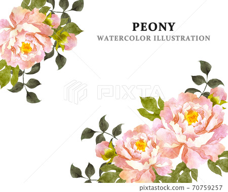 粉色牡丹花相框 70759257