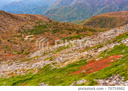 (Tochigi Prefecture) Autumn leaves Nasu mountain range, Mt. Chausu, Mt. 70759982