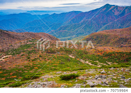 (Tochigi Prefecture) Autumn leaves Nasu mountain range, Mt. Chausu, Mt. 70759984