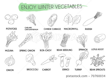 蔬菜簡單的圖標集 70760034