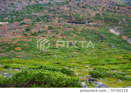 (Tochigi Prefecture) Greenery near Gourd Pond, Mt. Chausu, Nasu 70760319