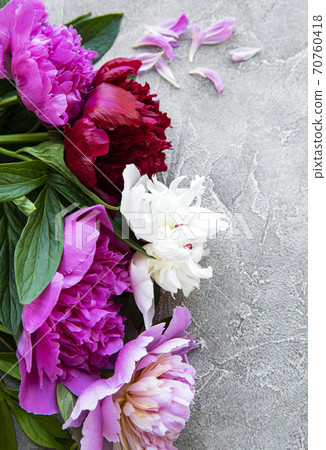 Peony flowers on a grey concrete background 70760418