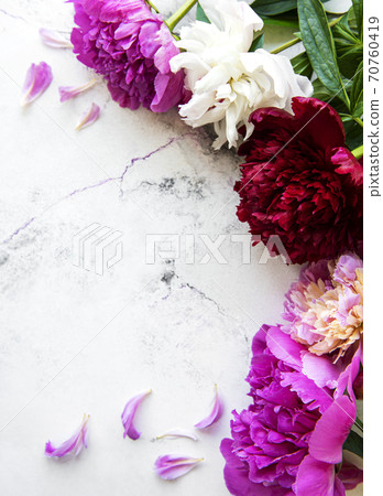 Peony flowers on a marble background Peony flowers on a marble background 70760419