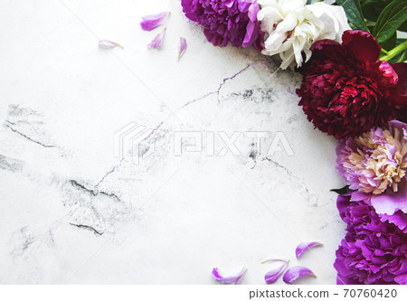Peony flowers on a marble background Peony flowers on a marble background 70760420