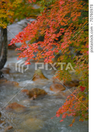 Autumn leaves of Nyuto Onsen Autumn leaves of Nyuto Onsen 70760978