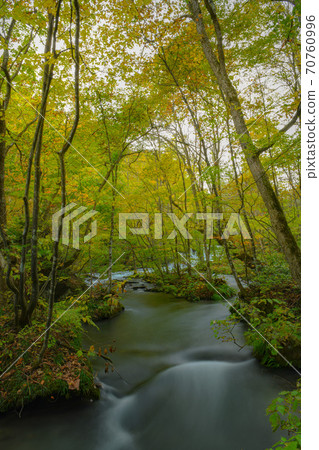 Oirase stream 70760996