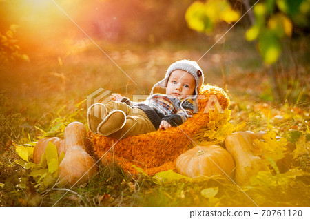 Child boy lies in a basket with pumpkins in autumn leaves. Child boy lies in a basket with pumpkins in autumn leaves. 70761120