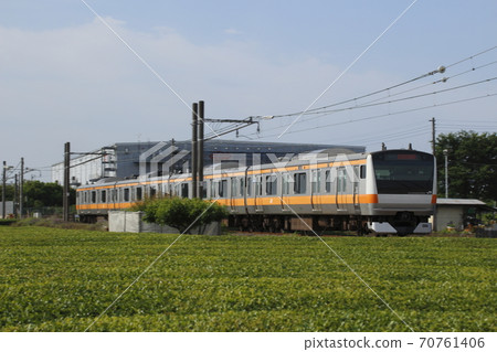 Hachiko Line going to the tea plantation (Chuo Line direct train) 70761406