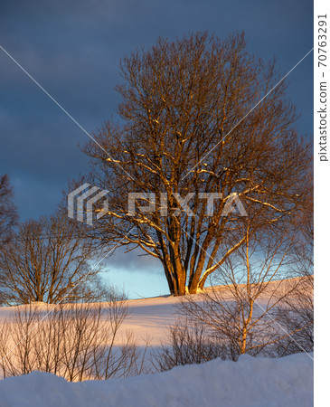 Winter snowy hills and tree in first sunrise sunlight. Small and quiet alpine village outskirts. Winter snowy hills and tree in first sunrise sunlight. Small and quiet alpine village outskirts. 70763291