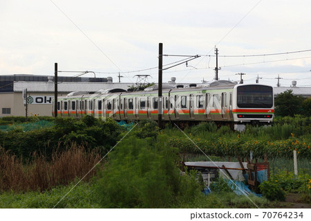 八公線209系列火車前往茶園 70764234