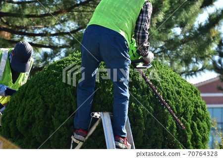 Landscape water cell work Landscape water cell work 70764328