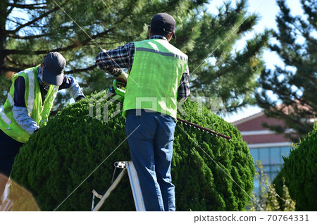 Landscape water cell work Landscape water cell work 70764331
