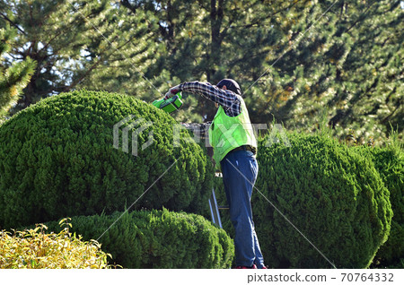 Landscape water cell work Landscape water cell work 70764332