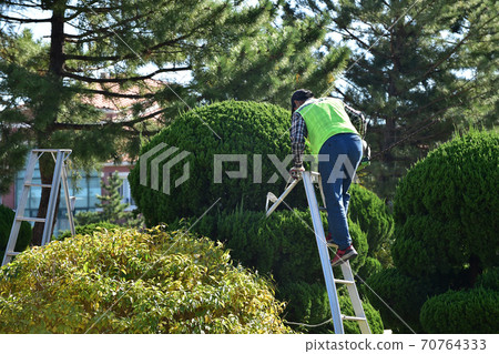 Landscape water cell work Landscape water cell work 70764333