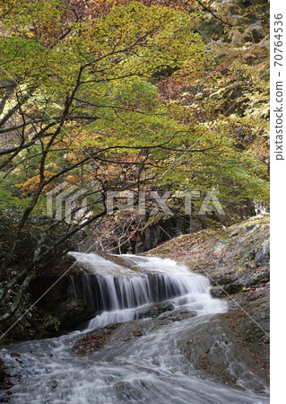 Fukushima Prefecture Autumn Adatara Plateau, Adatara Valley Promenade, Autumn Leaves of Shoryu Waterfall 70764536