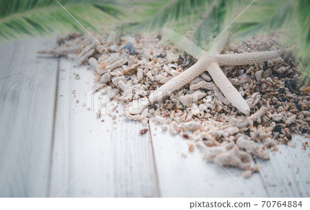 White wooden planks with star fish and sea shell  on background and  palm leaves on foreground,summer concepts. 70764884