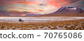 Spectacular sunset over Altiplano, Bolivia 70765086