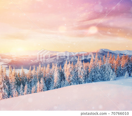 Mysterious winter landscape majestic mountains in winter. Magical winter snow covered tree. Photo greeting card. Bokeh light effect, soft filter. Mysterious winter landscape majestic mountains in winter. Magical winter snow covered tree. Photo greeting card. Bokeh light effect, soft filter. 70766010