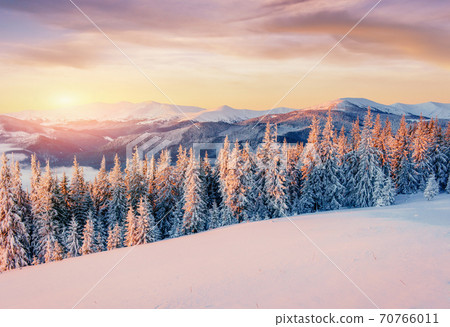 Mysterious winter landscape majestic mountains in winter. Magical winter snow covered tree. Photo greeting card. Bokeh light effect, soft filter. Mysterious winter landscape majestic mountains in winter. Magical winter snow covered tree. Photo greeting card. Bokeh light effect, soft filter. 70766011