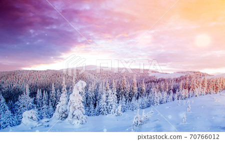 Mysterious winter landscape majestic mountains in winter. Magical winter snow covered tree. Photo greeting card. Bokeh light effect, soft filter. 70766012