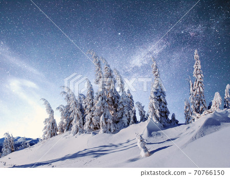 magical winter snow covered tree. Winter landscape. magical winter snow covered tree. Winter landscape. 70766150