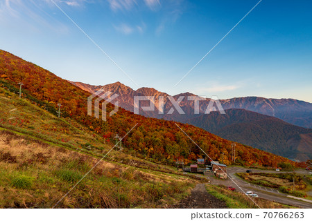 Hakuba Dawn Autumn Leaves 70766263