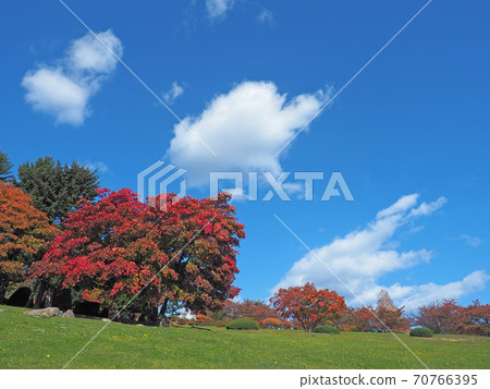 Autumn leaves of Otaru Temiya Ryokubotanical Garden 70766395