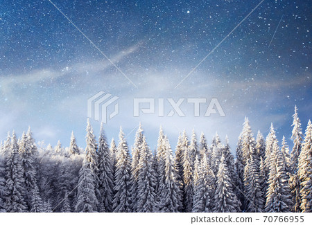 magical winter snow covered tree. Winter landscape. The winter lake is frozen on the front 70766955