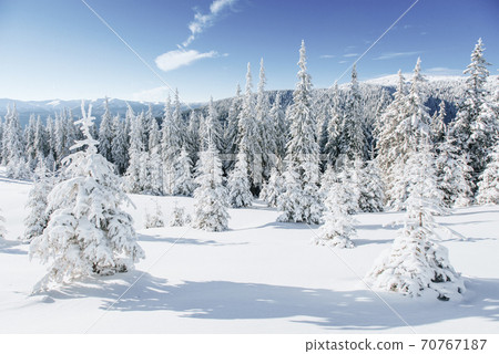 Fantastic winter landscape. Magic sunset in the mountains a frosty day. On the eve of the holiday. The dramatic scene. Carpathian, Ukraine, Europe. Happy New Year 70767187