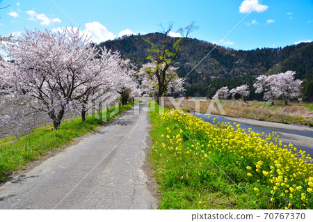 櫻花景陽河 70767370