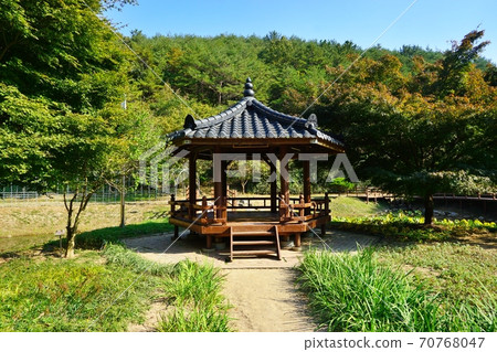 正午在正午公園 70768047