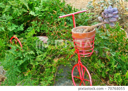 在灌木叢中的紅色自行車 70768055
