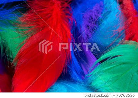 Beautiful background of colorful tropical birds feathers. Bird natural pattern. Close-up top view Beautiful background of colorful tropical birds feathers. Bird natural pattern. Close-up top view 70768556