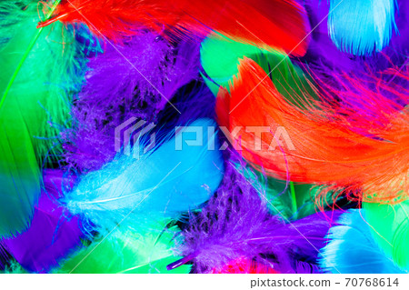 Beautiful background of colorful tropical birds feathers. Bird natural pattern. Close-up top view 70768614