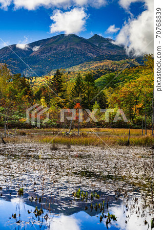 Autumn Norikura Plateau Loach Pond 70768839
