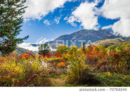Norikura Kogen in autumn 70768840