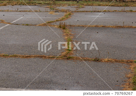 Wet autumn abandoned gray Asphalt texture with cracks and grass 70769267