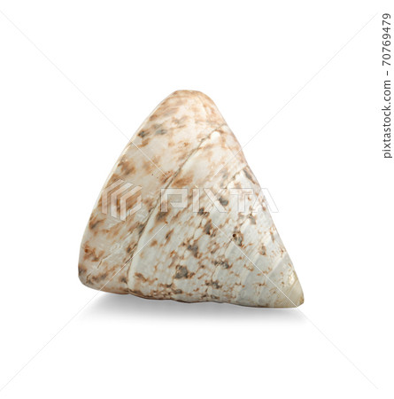 Sea shell isolated on a white background Sea shell isolated on a white background 70769479