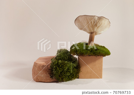 Podium on pastel background with mushroom and moss. For presentation helalth theraphy products. Podium on pastel background with mushroom and moss. For presentation helalth theraphy products. 70769733