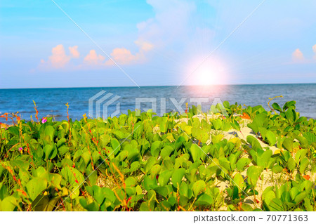 beach of china 70771363