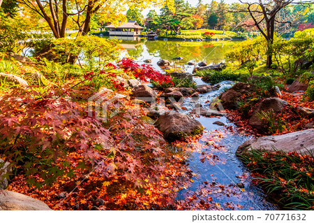 Autumn leaves and Japanese garden in Japan Autumn leaves and Japanese garden in Japan 70771632