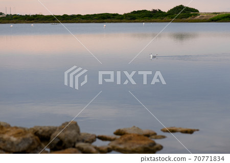 Salt lake Nature reserve Salina dei Monaci of Torre Colimena in the cloudy day, Salento 70771834