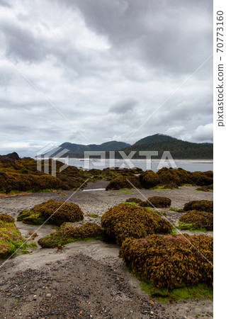 Raft Cove, British Columbia, Canada 70773160