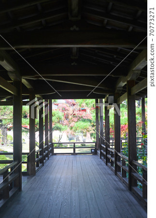 Daikakuji Village Rain Corridor-10 70773271