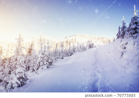 winter landscape trees and fence in hoarfrost, background with some soft highlights and snow flakes 70773885