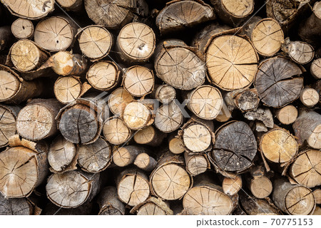 Timber stack, ends of logs for texture background. Woodpile of brown firewood, rough sawn trees with bark 70775153