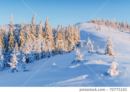 Mysterious winter landscape majestic mountains in winter. Magical winter snow covered tree. Winter road in the mountains. In anticipation of the holiday. Dramatic wintry scene. Carpathian. Ukraine Mysterious winter landscape majestic mountains in winter. Magical winter snow covered tree. Winter road in the mountains. In anticipation of the holiday. Dramatic wintry scene. Carpathian. Ukraine 70775283